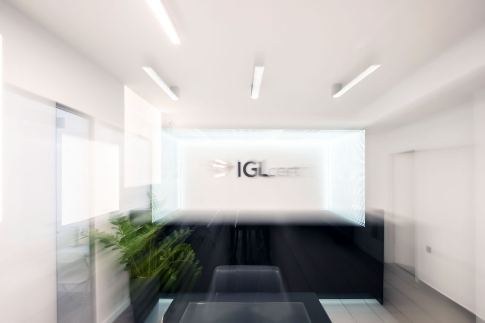 ΕΞΩΦΥΛΛΟ - DSCF0245